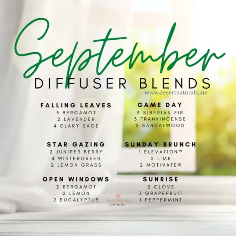September Diffuser Blends