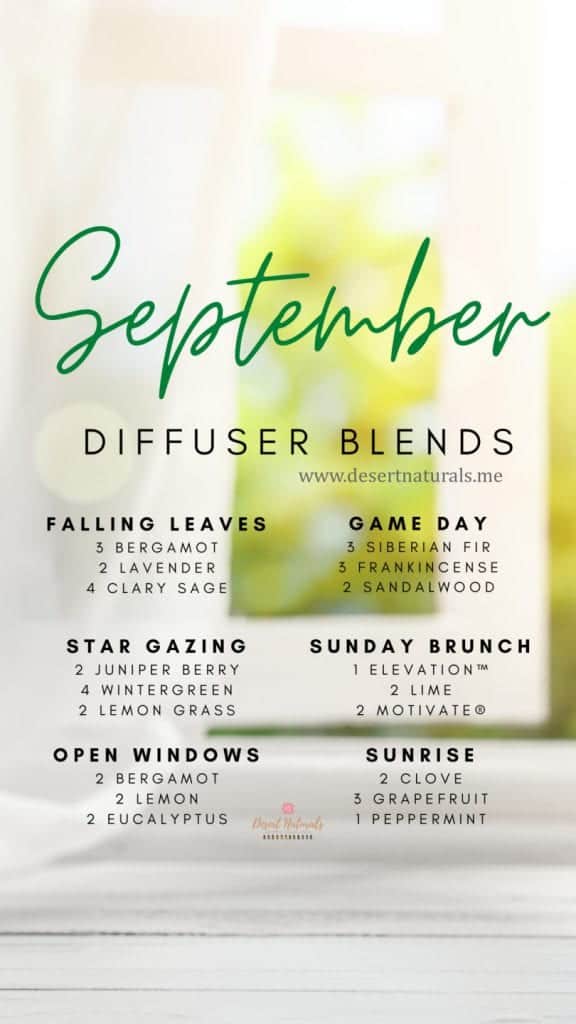 Fall essential oil diffuser blends to enjoy this season during September