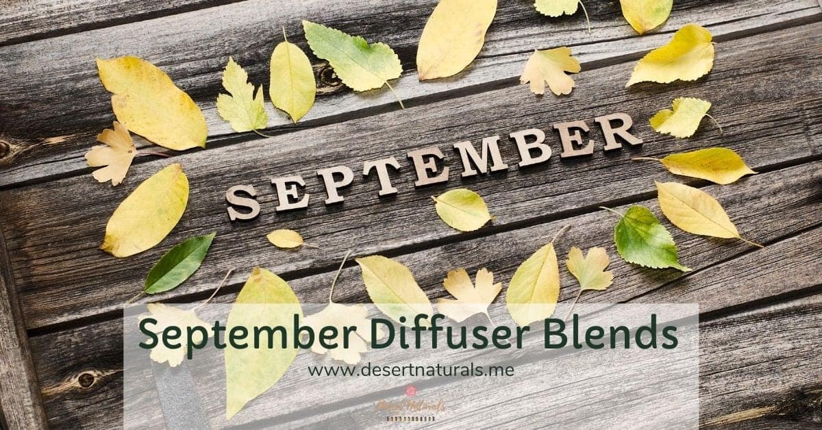 September Essential Oil diffuser blends for Fall