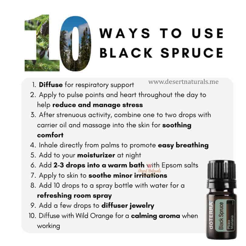 doTERRA Black Spruce Essential Oil uses and benefits