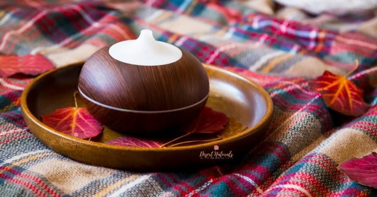 thanksgiving thmem blanket and dried leaves with an essential oil diffuser