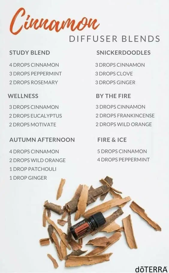 Diffuse cinnamon essential oil to get the health benefits with these diffuser blends