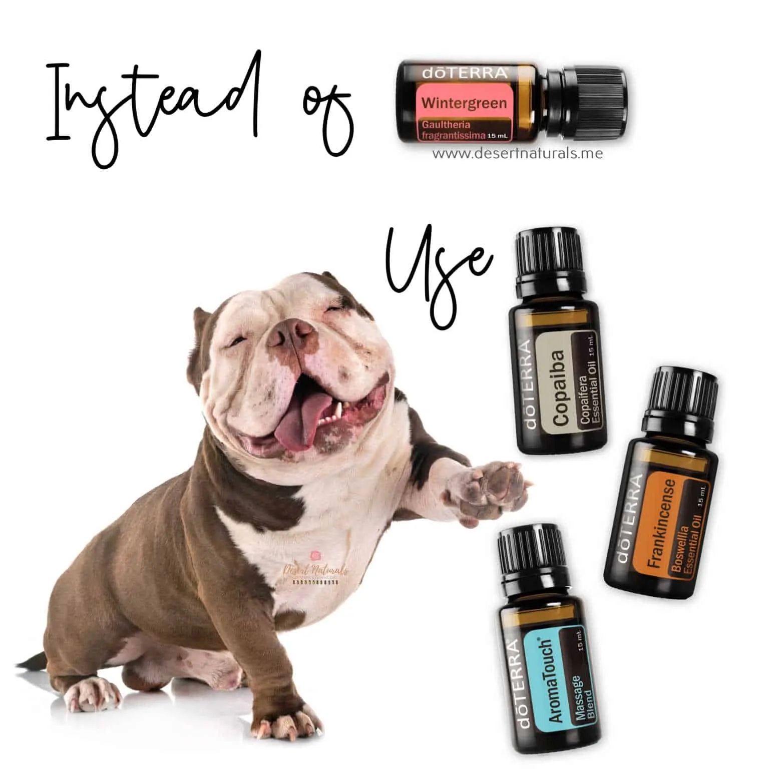 Copaiba, aromatouch and frankincense can be used instead of wintergreen on dogs
