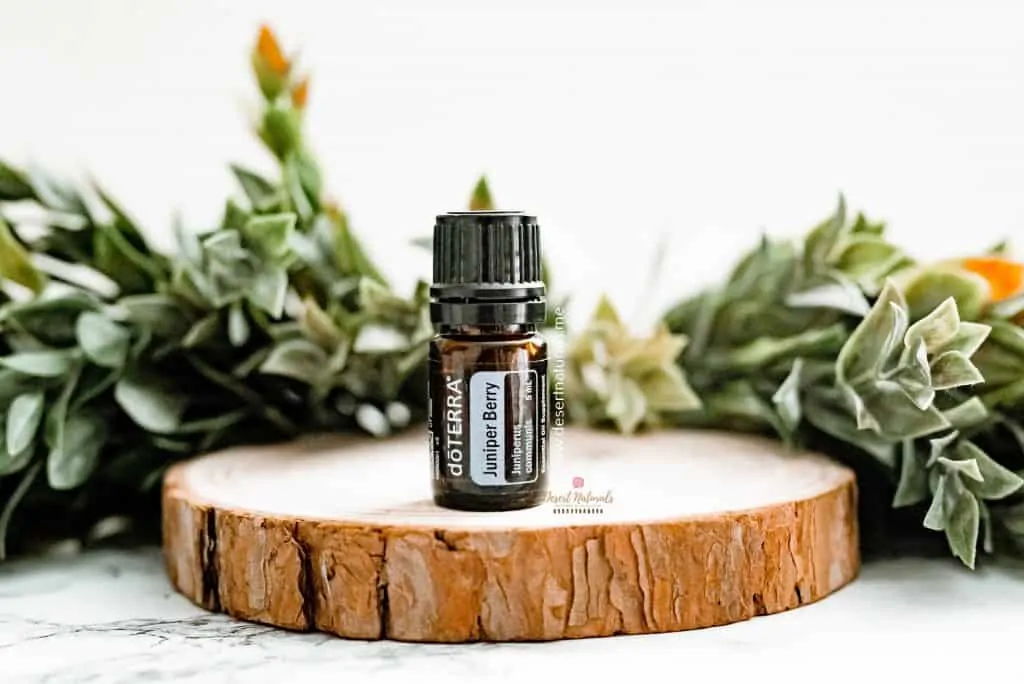 juniper berry essential oil can help the liver and kidneys detox and is great for weight loss