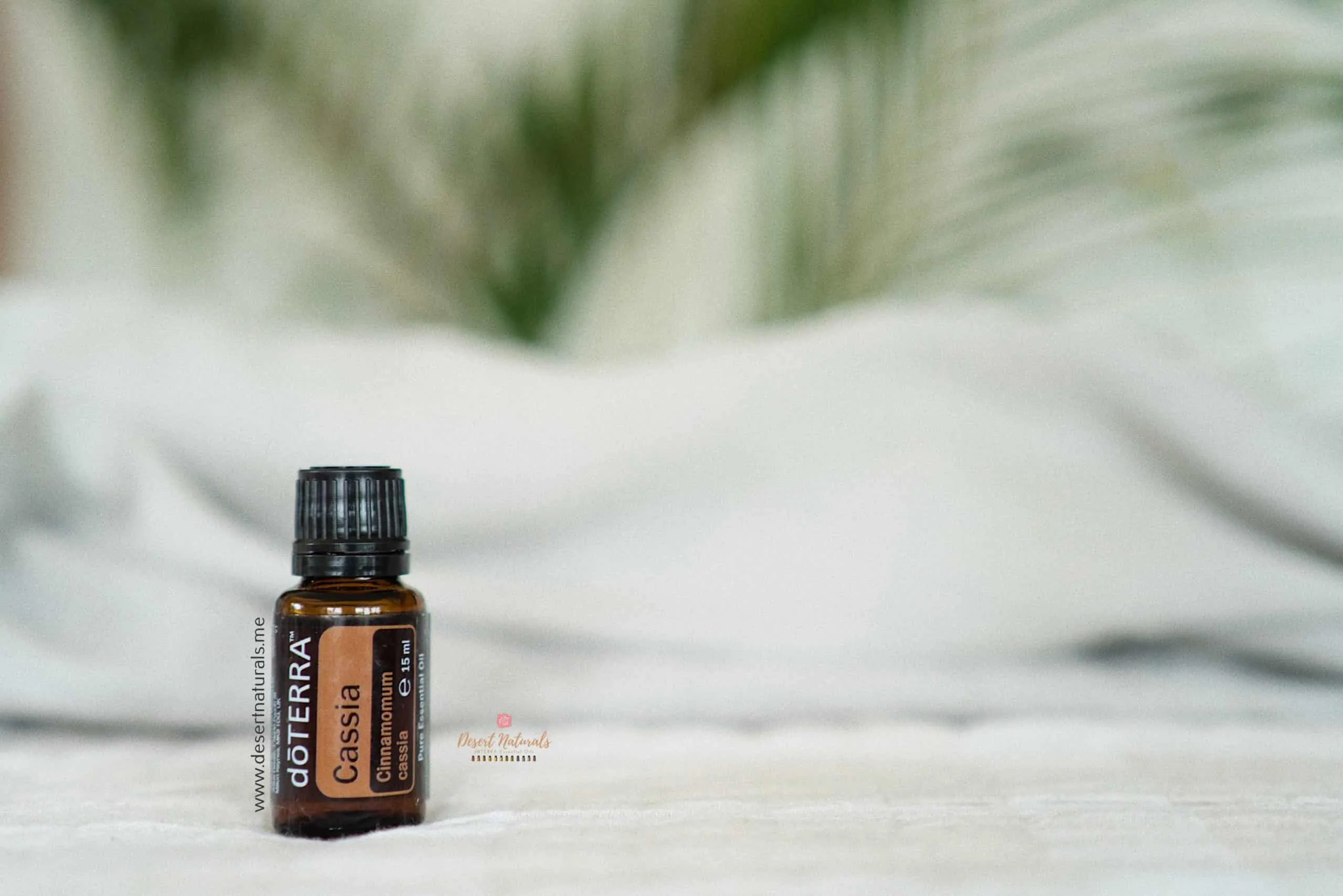 cassia essential oil from doTERRA is similar to cinnamon essential oil and can help with weight loss