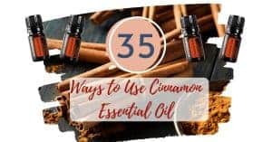 How to use Cinnamon Essential Oil for it's health and emotional benefits