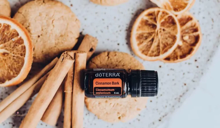 doterra cinnamon essential oil on dried cinnamon sticks and oranges