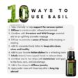 Benefits and uses for doterra basil essential oil