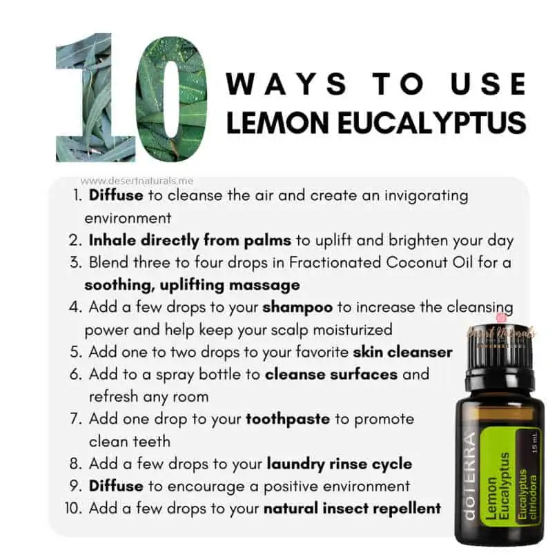 lemon eucalyptus is an effective bug repellant