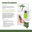 doTERRA Lemon Eucalyptus essential oil is sourced from Kenya