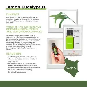 doTERRA Lemon Eucalyptus essential oil is sourced from Kenya