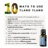 10 ways to use doterra ylang ylang essential oil