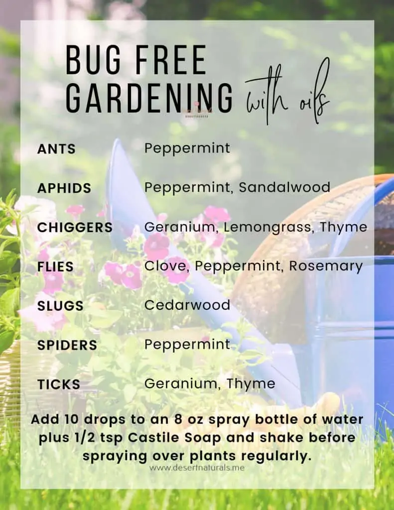 A list of Essential Oils to use for various garden pests like ants, aphids, flies, and gnats 