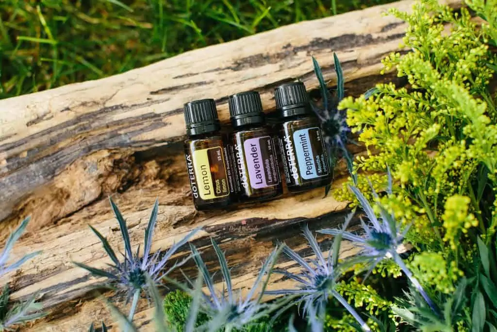 doterra lemon, lavender, peppermint for allergies