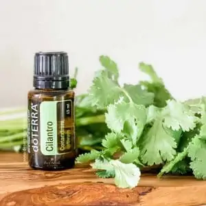 15ml doterra cilantro on wood block with bunch of cut cilantro