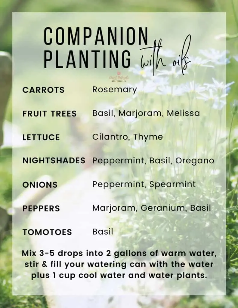 How To Use Essential Oils In The Garden