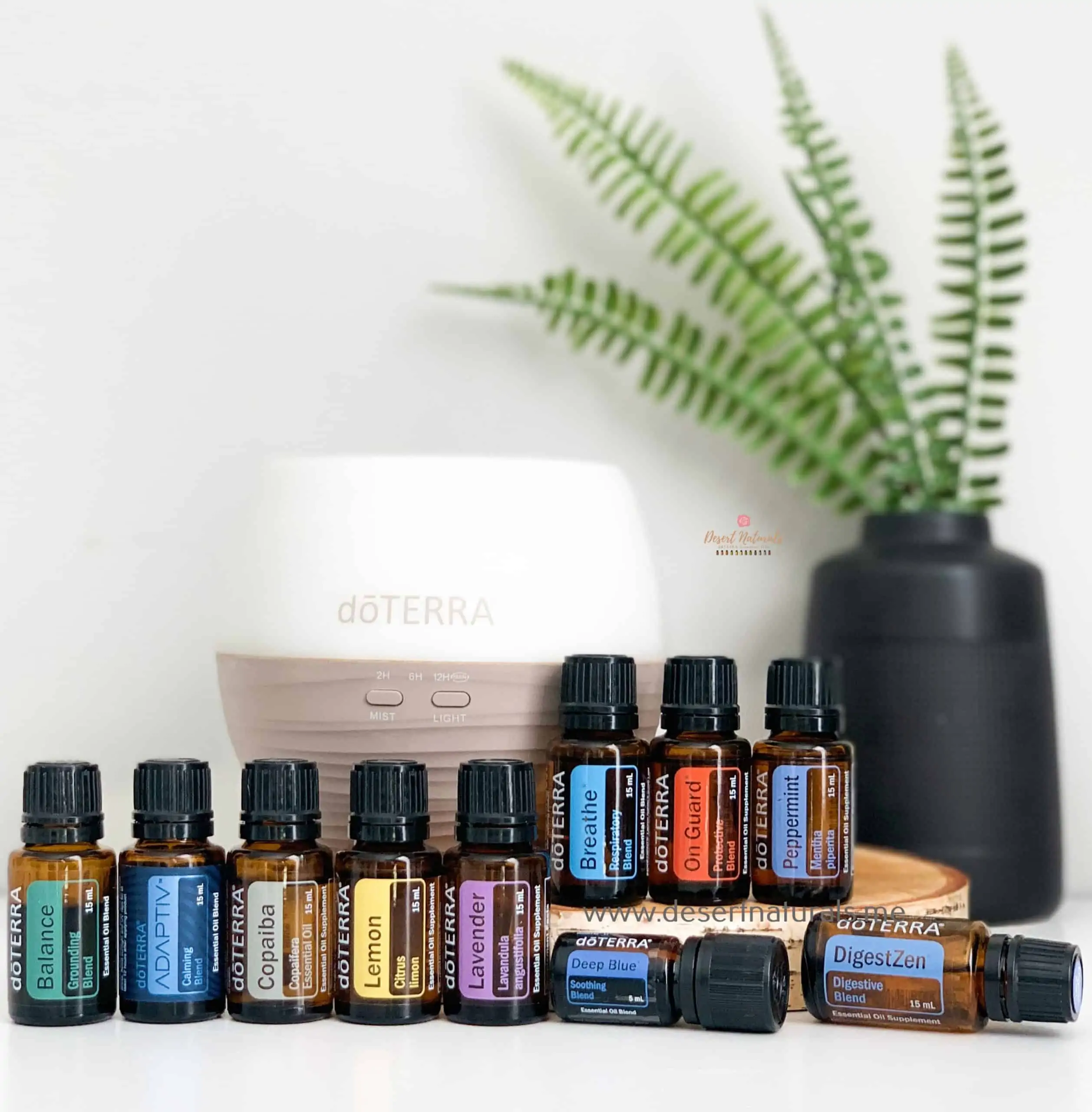 doterra healthy essentials kit 2 scaled