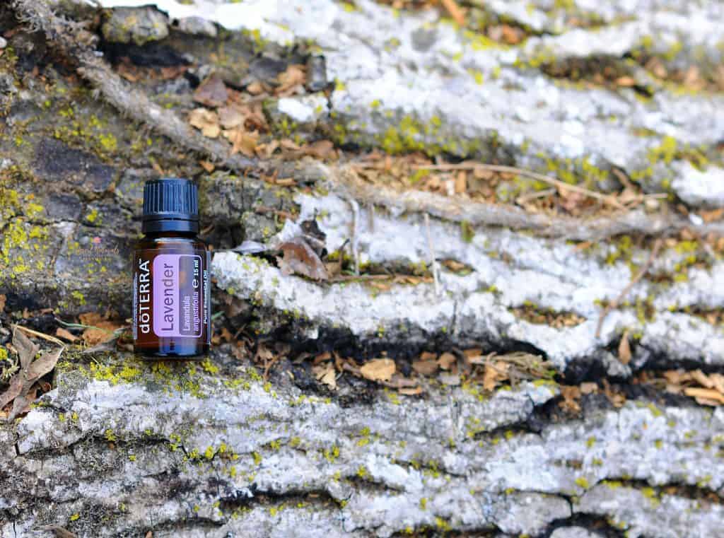 use lavender essential oil while camping to help sleep in your tent