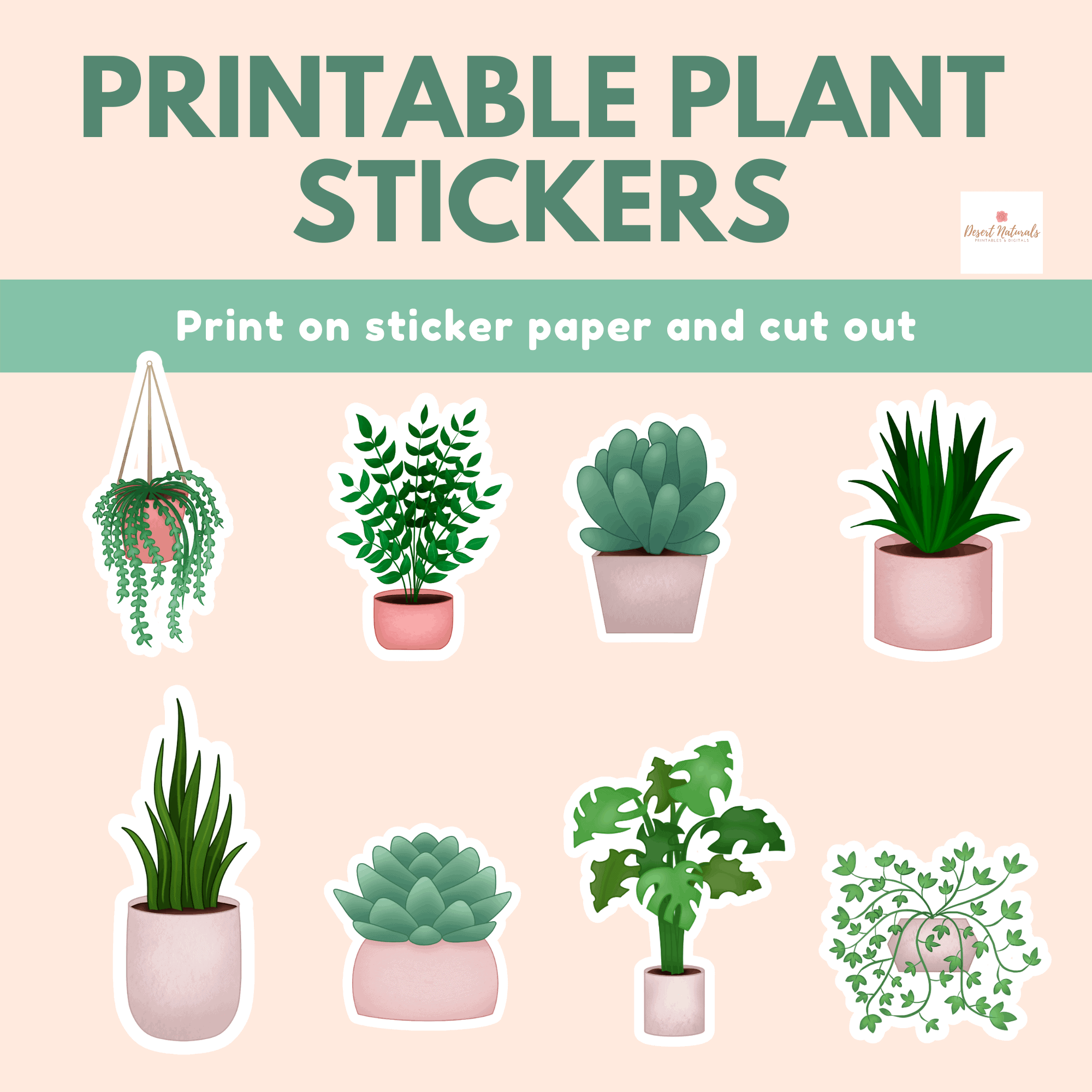 2021 2022 house plant journal and tracker holistic health and natural living with doterra essential oils