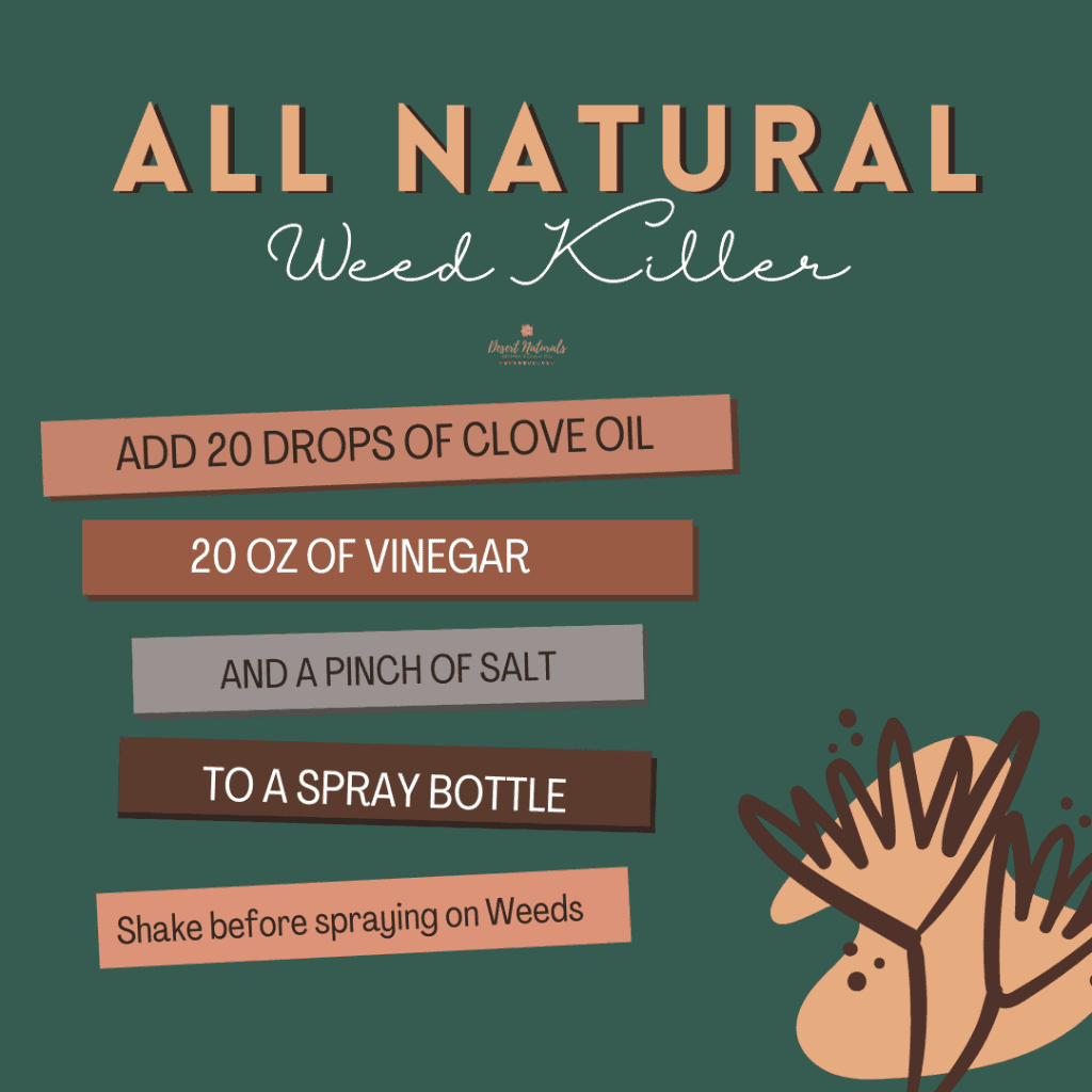 all natural weed killer recipe with cinnamon essential oil and vinegar