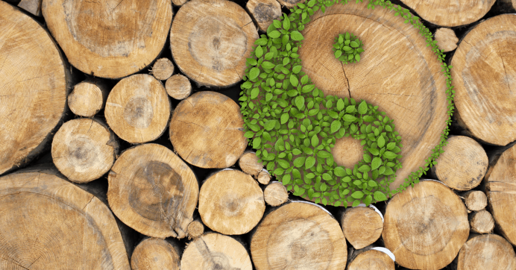 wood logs green yin yang sustainable green living