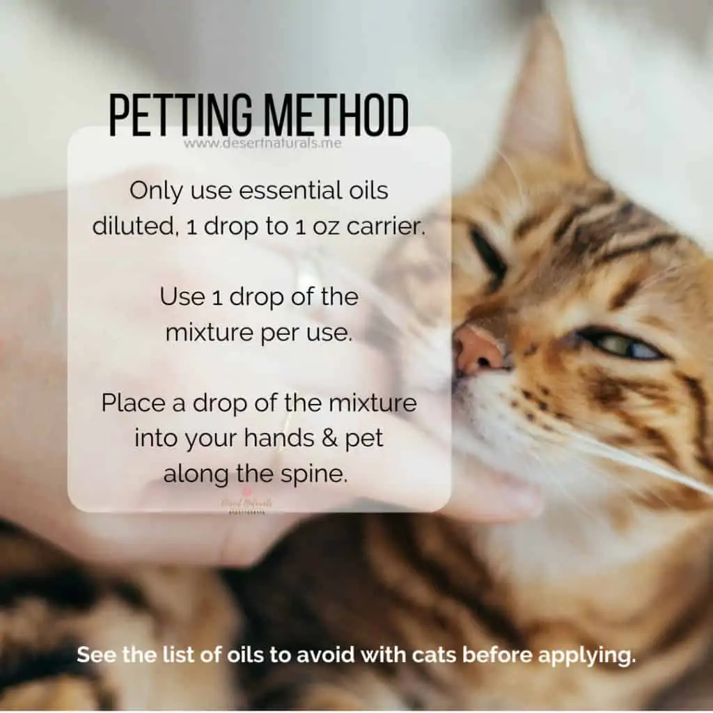 cute cat in the background with directions for how to use the petting method to introduce essential oils to cats
