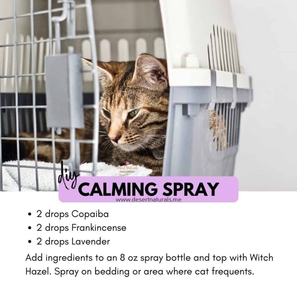 calming spray for cats