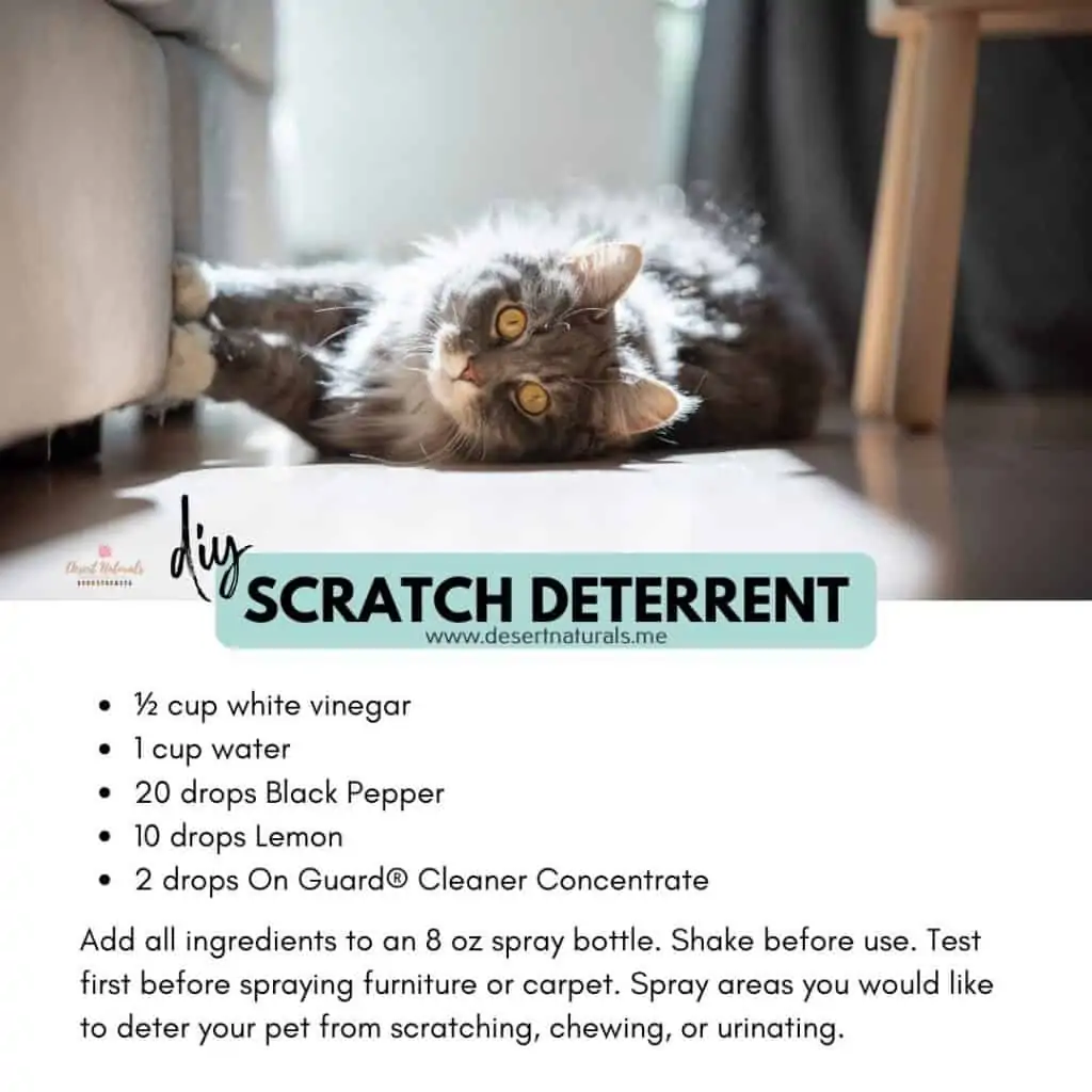 essential oil scratch deterrent cats