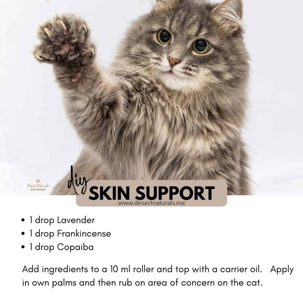 photo of grey cat with recipe for diy skin support using essential oils