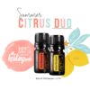 summer citrus duo give back promo info with 5ml bottle of red mandarin and yellow mandarin