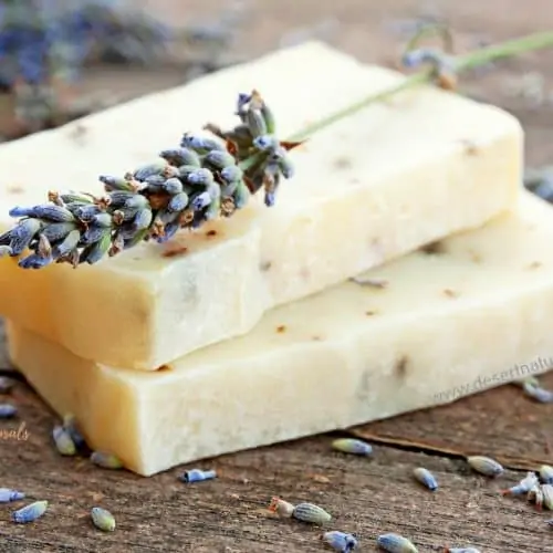 image of diy essential oil lotion bar with sprig of lavender
