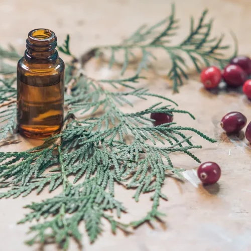 15 Christmas Essential Oil Room Spray Recipes 9 Christmas greenery and bottle of essential oil to make Christmas room sprays