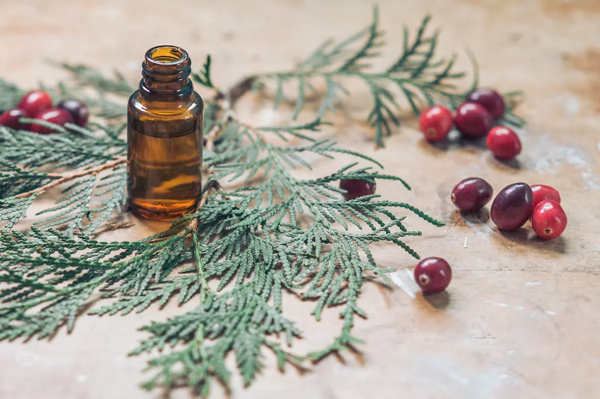 15 Christmas Essential Oil Room Spray Recipes 25 Christmas greenery and bottle of essential oil to make Christmas room sprays