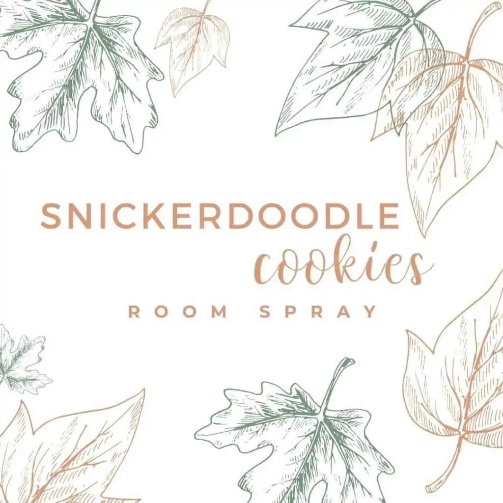 hand drawn leaves on white background with text snickerdoodle cookies room spray