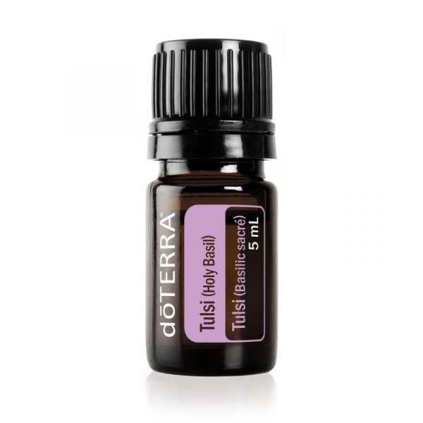white background with botle of doTERRA Tulsi Holy Basil Essential Oil