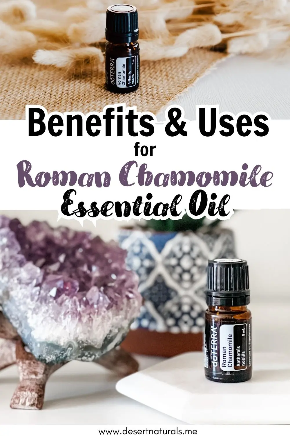 text benefits and uses for roman chamomile essential oil with amethyst and bottle of doterra roman chamomile