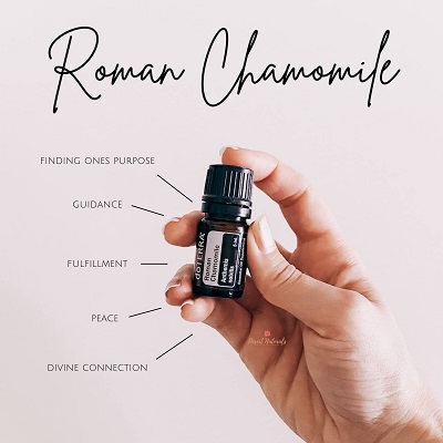 hand holding a bottle of doterra roman chamomile with emotional benefits listed