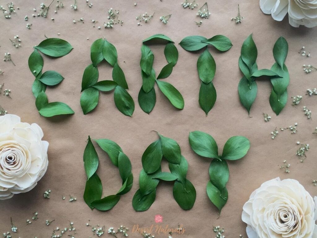 the word earth day spelled out with leaves