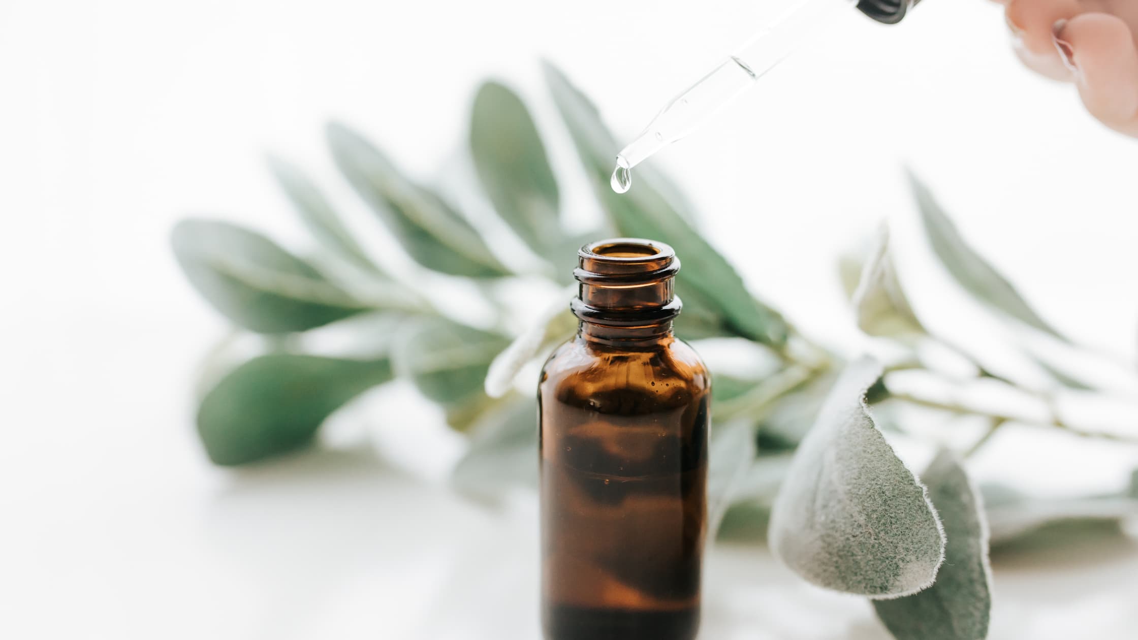image of essential oil dropper bottle with green sprig in background