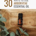 image of doterra arborvitae essential oil on wood and greenery