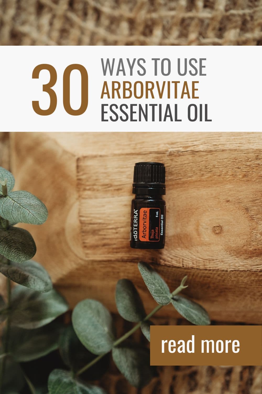 30 Ways to Use Arborvitae Essential Oil