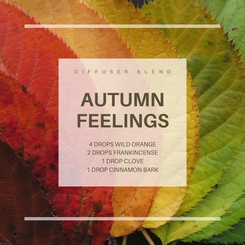 Thanksgiving diffuser blend for Autumn Feelings