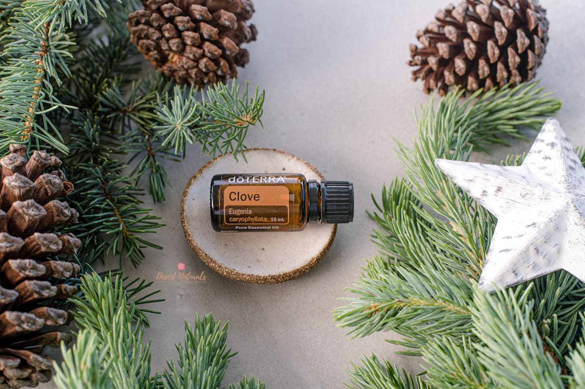 photo of Pinecones, Christmas greenery and bottle of doTERRA Clove essential oil