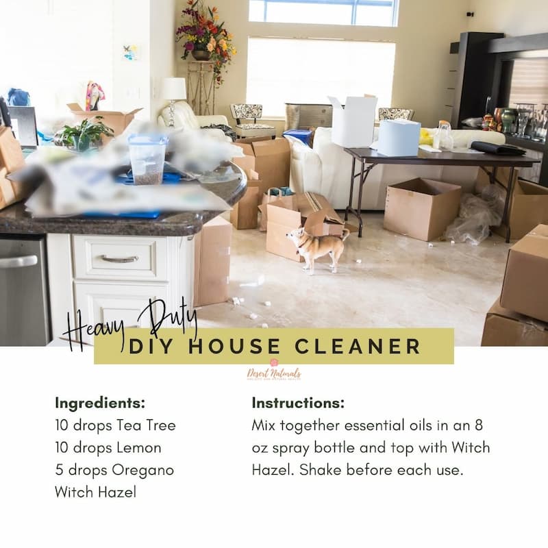 diy recipe for sanitizing house cleaning spray with oregano essential oil