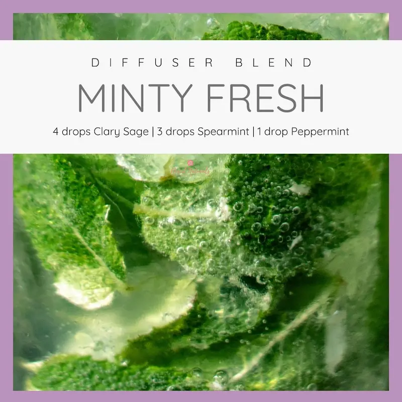 Clary Sage Minty Fresh Essential Oil Diffuser Blend