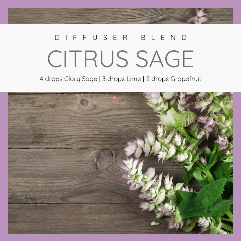 Clary Sage Citrus Sage Essential Oil Diffuser Blend