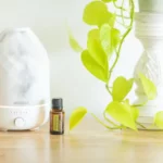 essential oil diffuser with bottle of doterra lemongrass