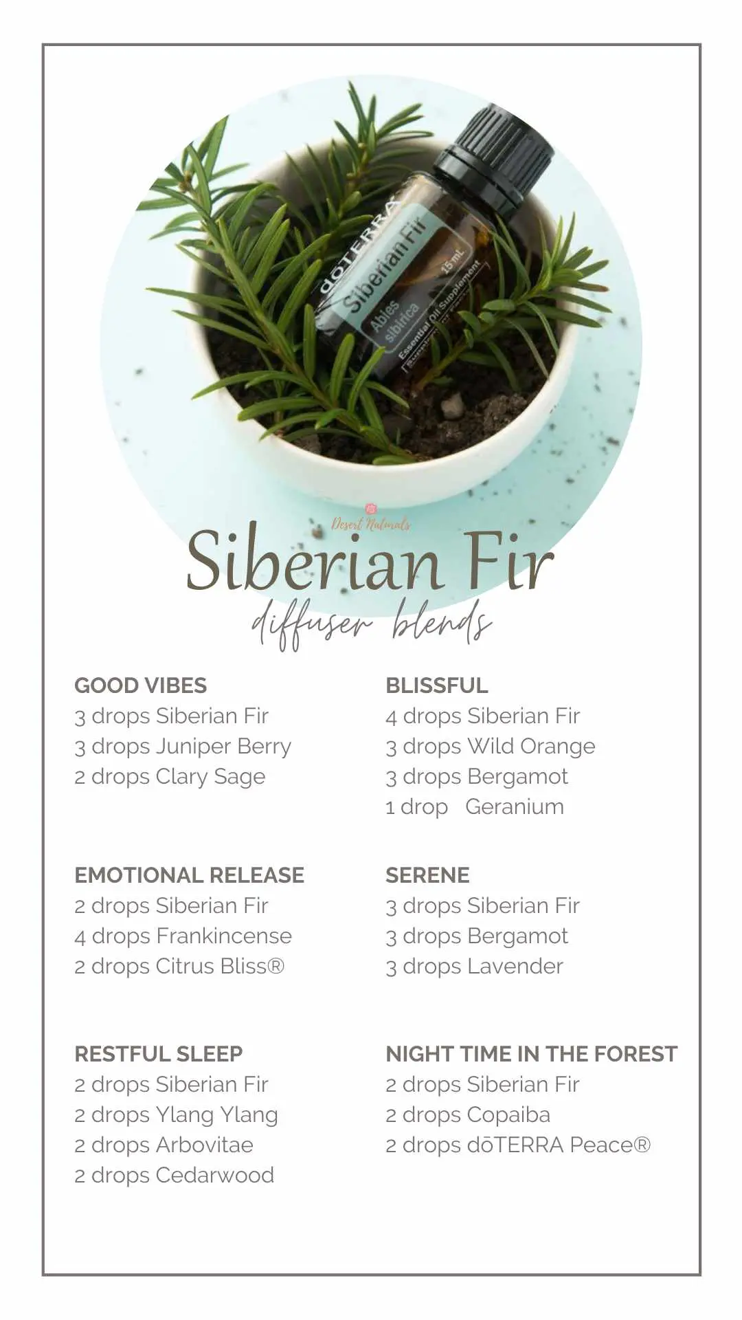 siberian fir essential oil diffuser blends