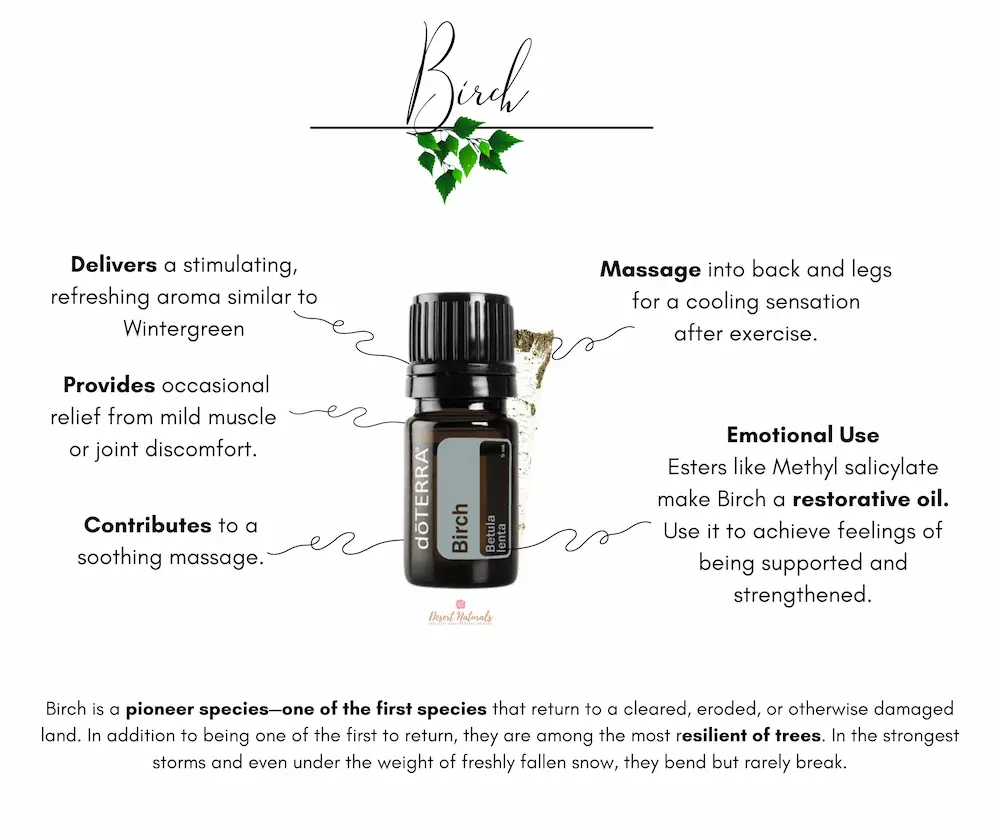 bottle of doTERRA Birch essential oil and benefits and uses 
