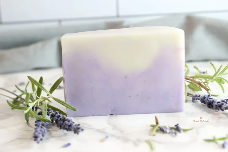 Simple Homemade Lavender Rosemary Infused DIY Soap Recipe